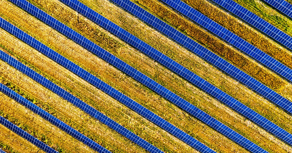 Sécuriser un parc photovoltaïque contre le vol