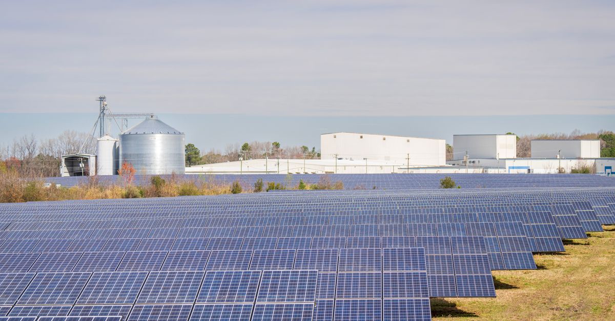 Surveillance sans électricité : les tours 100 % solaires