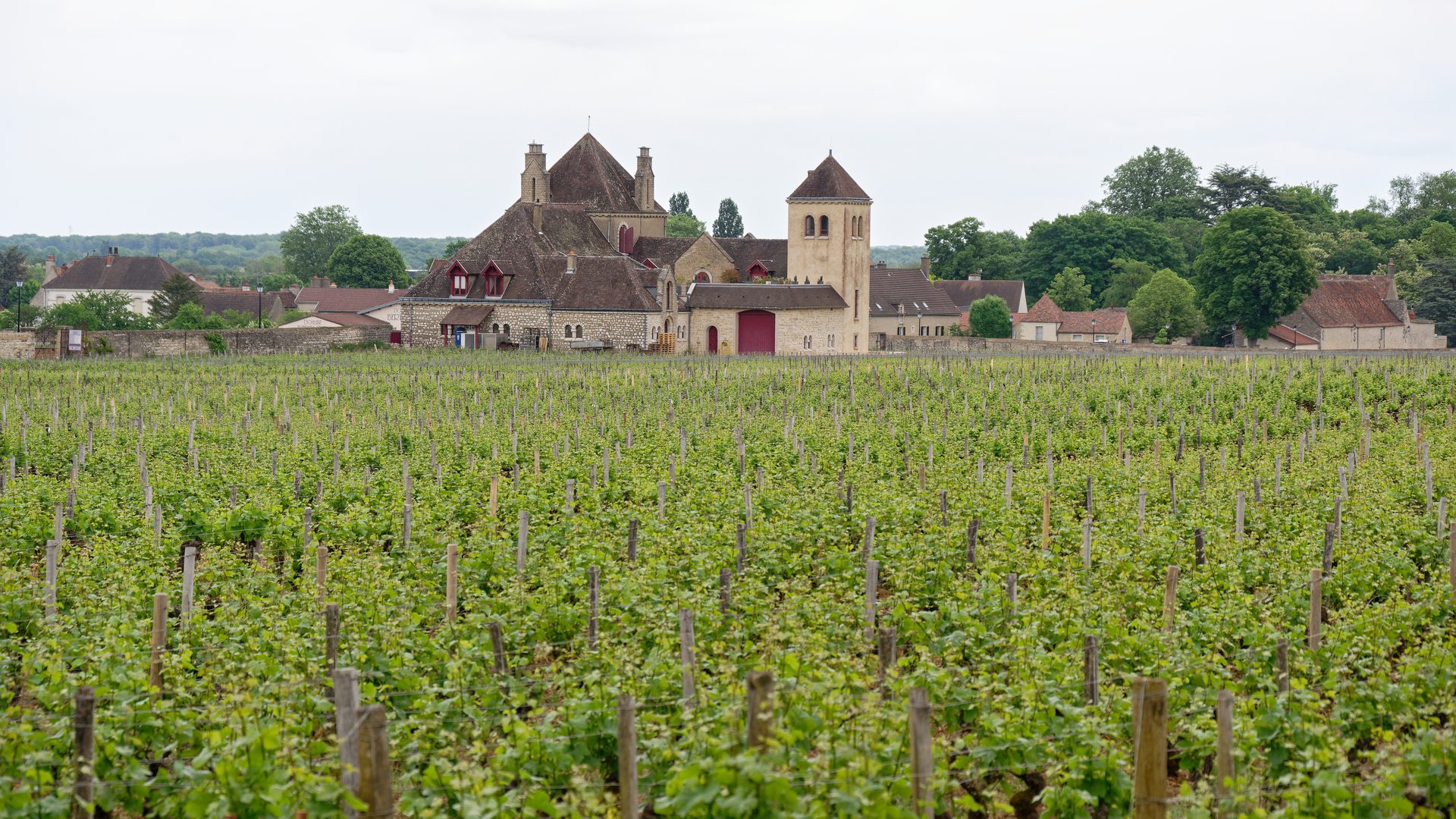 Domaines viticoles : sécurisation de site